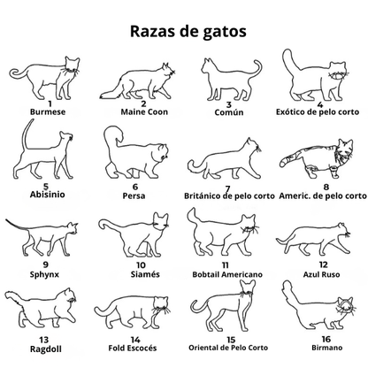 Tu gato, convertido en joya